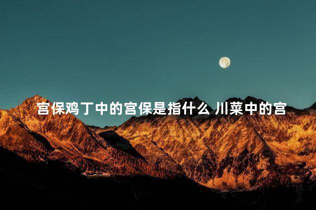 宫保鸡丁中的宫保是指什么 川菜中的宫保鸡丁中的宫保是指什么